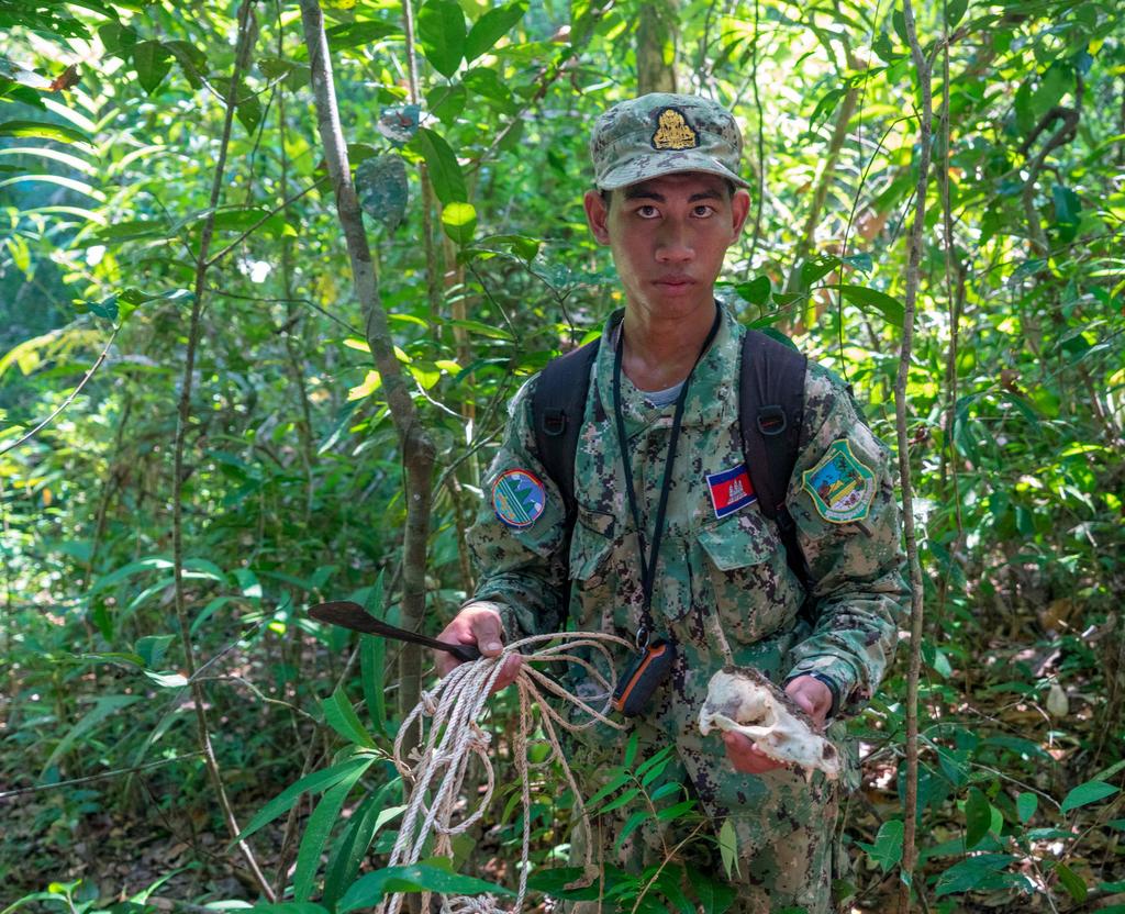 Snares removed from the Cardamom Rainforest, Credit: Wildlife Alliance Introduction July 31st is World Ranger Day, an annual event which commemorates wildlife rangers killed or injured in the line of