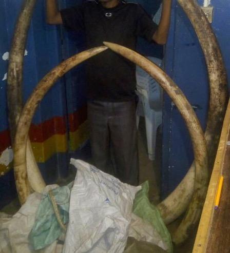 May 0: One trophy dealer arrested with a -foot python skin at Makindu town, Makueni County.