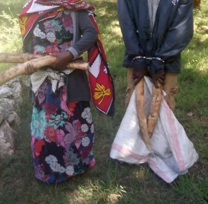 (pictured below-left) June 5: Two trophy dealers arrested at Loitoktok town, in possession of