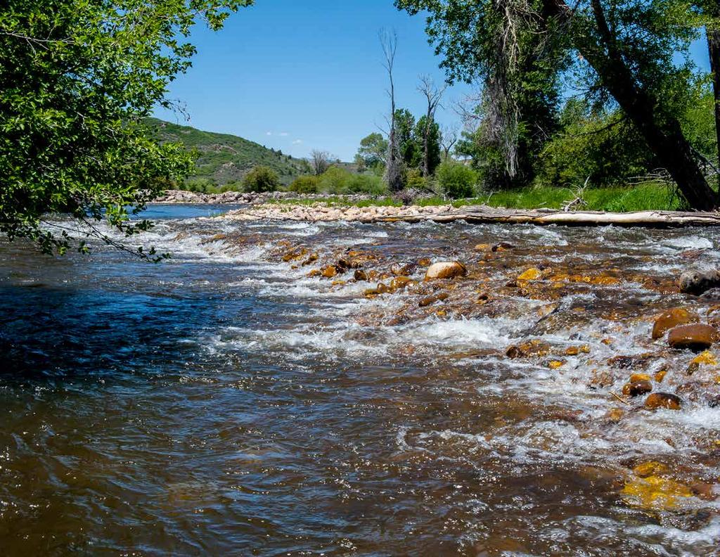 Live Water: The ranch controls over 1 mile of the Upper Provo River, a tightly-held wade-friendly fishery with trophy-sized brown, rainbow and