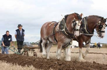 The National Ploughing Championships is Europe s largest Outdoor Exhibition and Agricultural Trade Show.