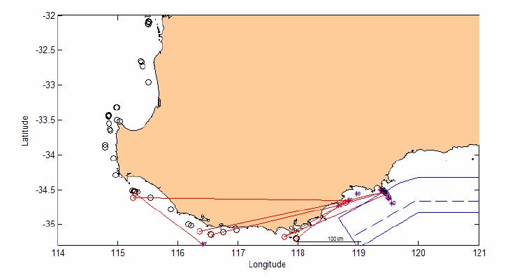 An example of the detections for a subset of tuna detected on the south coast is shown in Figure 7. Red lines show the movement between the tagging location (open circles) and a listening station.