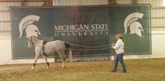 The MSU HTRC is extremely fortunate to have had the opportunity to stand Multiple National Champion Reining and Western