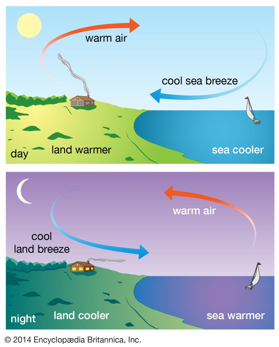 Convection Currents Land breeze Breeze that flows form the cool air above land (high pressure)toward the