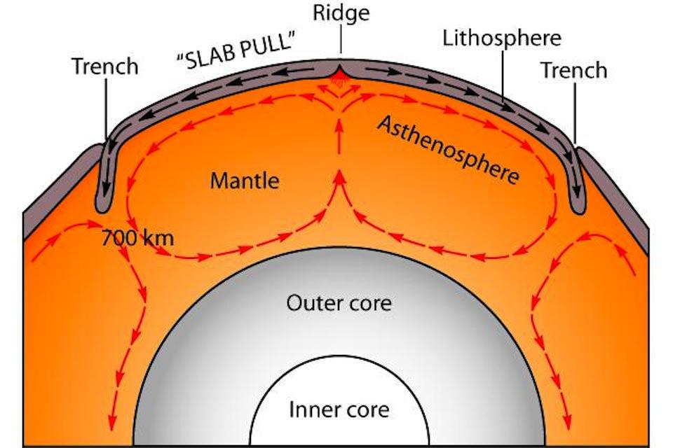 Convection Currents Earth s Mantle Convection currents flow within the mantle Causes the