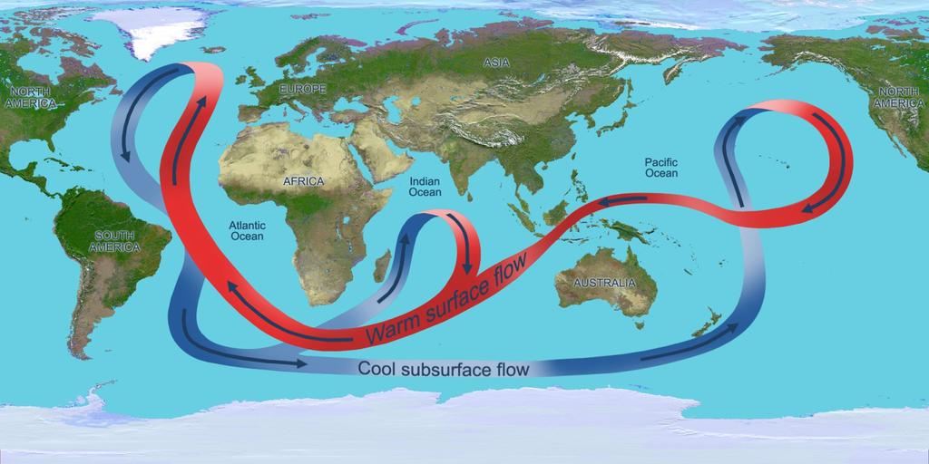 Convection Currents (We will learn more about this later) Earth s Oceans Convection currents flow within the oceans Temperature