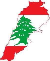 Registering in Lebanon helps our country of origin to maintain - Demographic and political power-sharing balance - Confessional and cultural diversity so that it remains a source of pride for us and