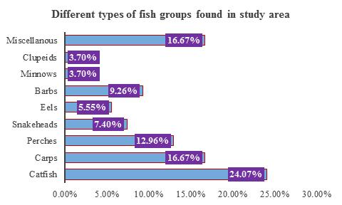 Fig 1: Different types of fish groups recorded during the period of study According to their availability, all the species were classified into four types such as abundant, common, less common and