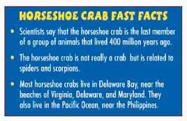 Non-fiction: Blue Bloods of the Sea Horseshoe Crab Fast Facts Time Will Tell Efforts are being made to help protect horseshoe crabs.