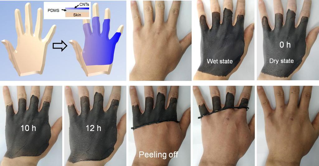 of the hand skin for up to 12 h with the temperature of about 18ºC and relative