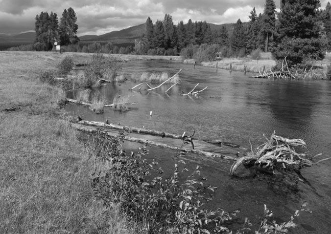 Restoration and Enhancement Program. The grant was used to help fund a project to add in-stream wood structures and spawning gravel to a one-mile section of the Wood River.