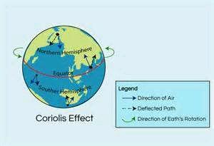 Coriolis Effect If the earth did not rotate, winds would blow in a straight line from the poles to the