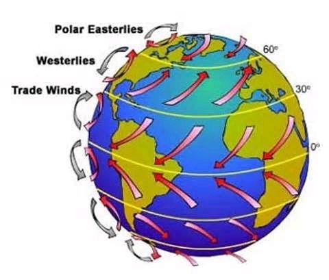 Polar Easterlies Cold air near the poles sink and flow back toward the lower