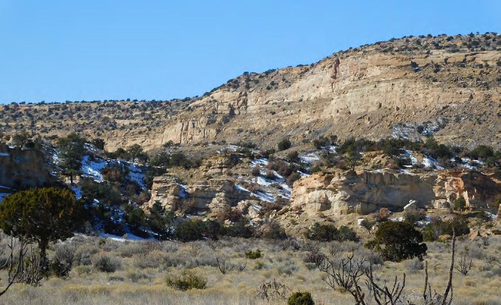 Primary big game wildlife on Red Mountain Ranch consists of elk, mule deer, and an occasional Aoudad (Barbary Sheep).