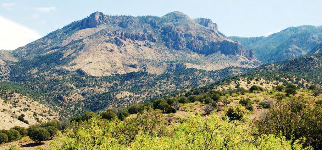 We have the privilege of offering an exclusive listing on a very scenic combination small farm and USFS leasehold ranch in the beautiful Gila Mountains of Western New Mexico.