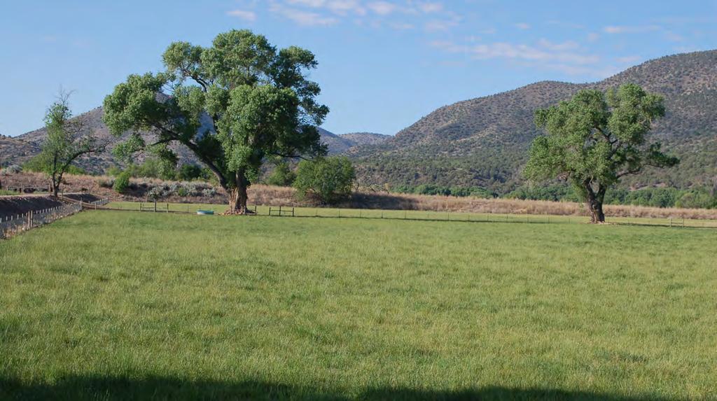 The headquarters portion of the ranch is separated into six irrigated pastures, all with new fencing throughout. Pasture rotation is easy and efficient.