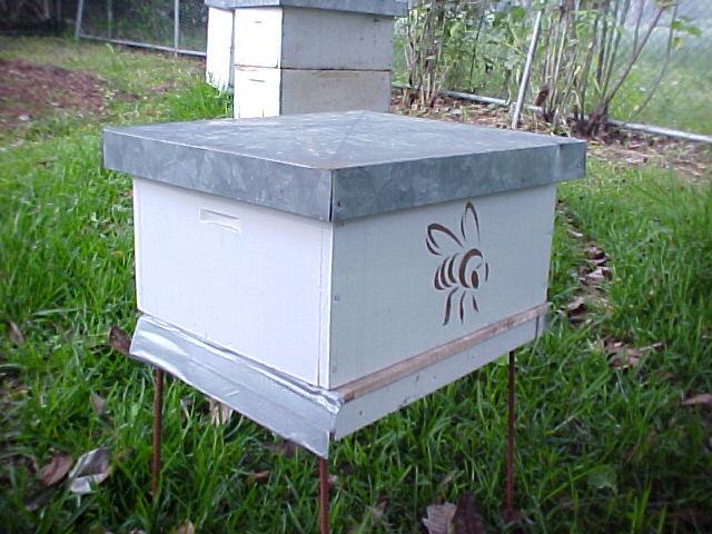 - Experimental apiary was formed for 10 AHB colonies -