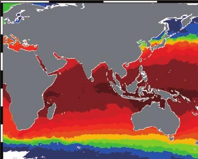 2.2 Interannual Variation of Sea Surface Temperature and Ocean Wind - - - - Mean Sea Surface Temperature in Dec.