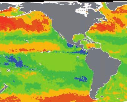 For example, SST is generally high at low latitudes, and low at middle and high latitudes.