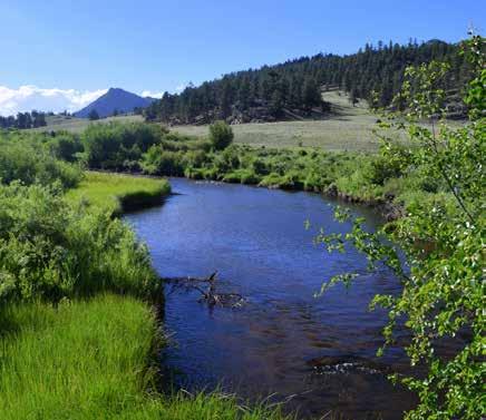 The South Park region is renowned for its productive trout water; over 50 miles of public streams have been designated Gold Medal trout fisheries by the Colorado Division of Wildlife.