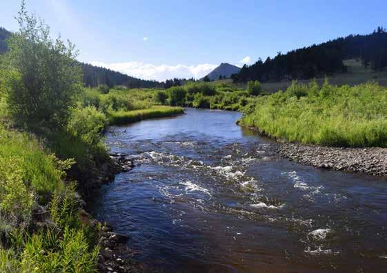 What sets the Tarryall Tailwater Ranch apart is approximately 5 miles of both sides of Tarryall Creek that is situated immediately downstream of the Tarryall Reservoir.