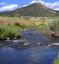 Location: Tarryall Tailwater Ranch is located in Park County between Jefferson and Lake George, Colorado, in a beautiful valley in the majestic Tarryall Mountains.
