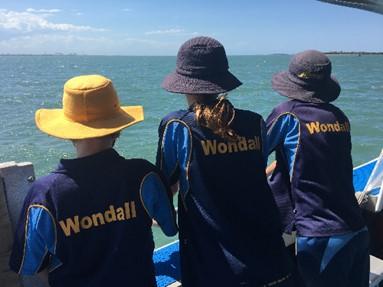 School News Continued... STEM Last Friday, I had the pleasure of spending the afternoon searching for seagrass, with eight of our year 5 students.