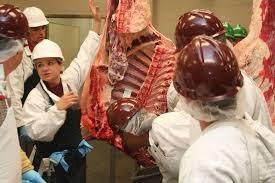 2018-2019 4-H Newsletter Page 9 4-H Meat Judging Here is a list of dates for meat judging practices.