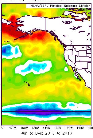 Sea-Surface Temperature Anomalies 2015