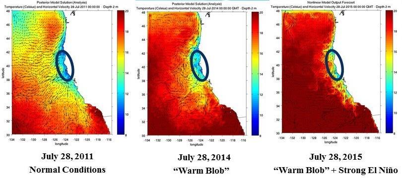 The Blob + El Nino Summer water temperatures.