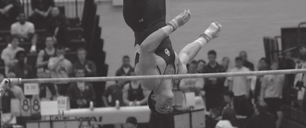 The Sooners boast a number of gymnasts capable of big scores on rings including Jackson, Laughton, Messina and.