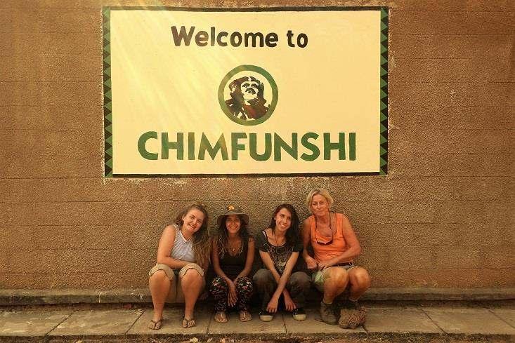 Am Mon Tue Wed Thu Fri Visit to the Wildlife Pick up from your Orphanage and Chimp accommodation in Meet the chimps for Farm work fruit Bush Walk Internet café to catch up with Ndola.