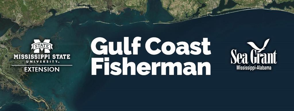 recreational sectors. The MSA has guided federal fisheries management for decades and is credited for rebuilding many fish stocks since 2000.