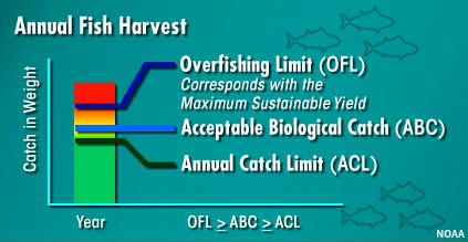 The amount of fish that can be caught by fishermen in a year; this is also known as the Total Allowable Catch (TAC).