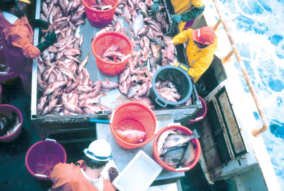 9 Sorting and recording the catch is key to monitoring fisheries.