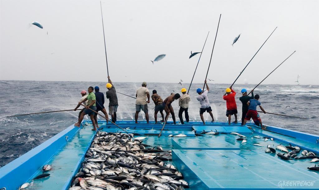 Fishing and Aquaculture Notes If you're overfishing at the top of the food chain, and acidifying the ocean