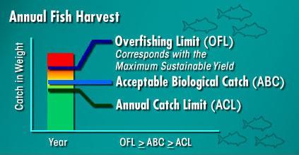 Annual catch limits in US, have been established and enforced by the National Oceanic and Atmospheric Administration (NOAA)