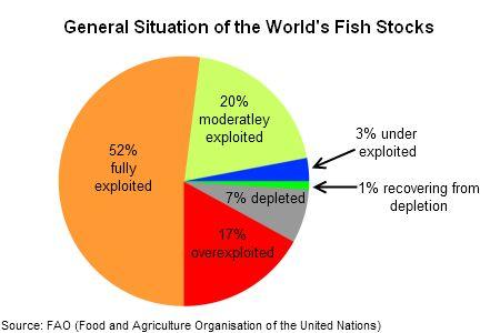 Maximum sustainable yield: maximum fish that can be harvested without diminishing the population for future years.