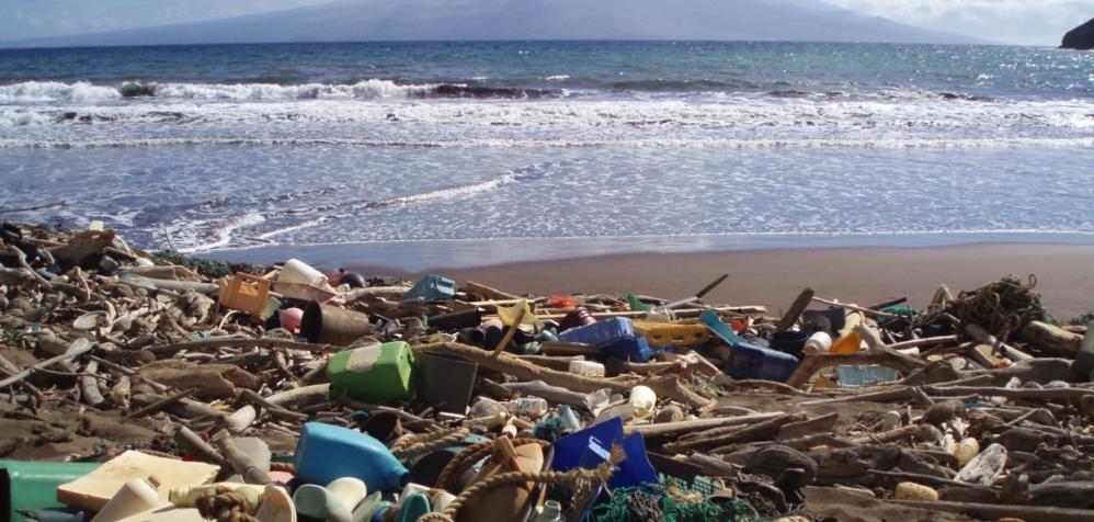 What can we do to prevent ocean pollution? Pick up litter Use reusable items Use less energy Why is it important to prevent ocean pollution?