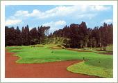 INVITATION The 15 th Japan Open Golf Championships for the Disabled