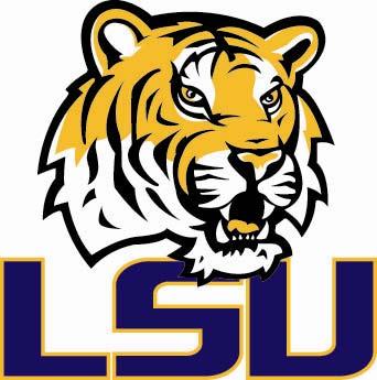 LSU Athletics NACMA Awards Entry Electronic Promotion Goal: The goal of our electronic promotion at LSU was to drive sales and awareness of Lady Tiger basketball.