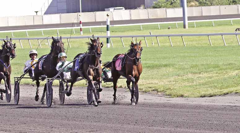She s Coming Back I n 2017, Ariana G won the New Jersey Sire Stakes championship, Hambletonian Oaks, Breeders Crown, Elegantimage, Simcoe, and divisions of the Delvin Miller Memorial and Bluegrass.