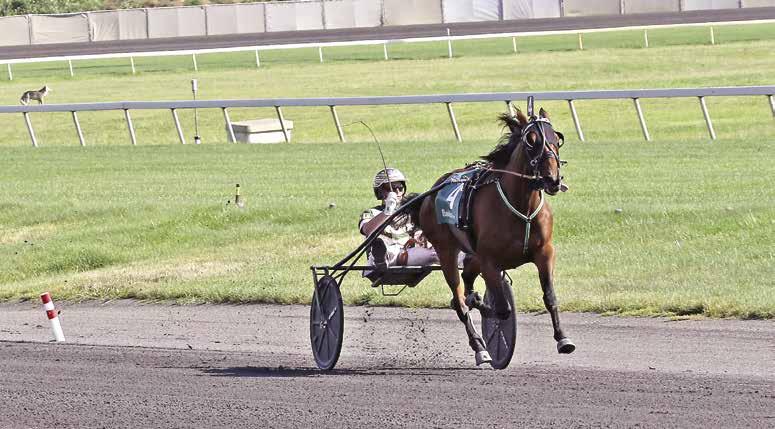 CRUISE CONTROL / Left: Ariana G won the 2017 Hambletonian Oaks by 4¾ lengths in 1:51.