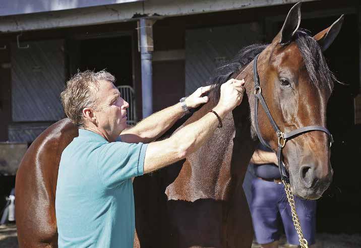She s Coming Back THAT TICKLES / Trainer Jimmy Takter inspects Ariana G from head to hoof prior to the 2017 Kentucky Filly Futurity.