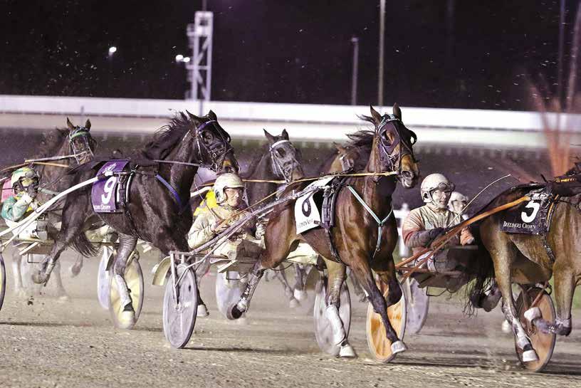 ELECTRIFYING / Ariana G (8) did not let a tough trip in the 2017 Breeders Crown 3-Year- Old Filly Trot prevent her from winning the race.