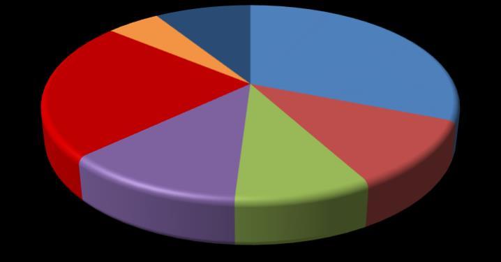 Unknown Stock 9% 5% Thoroughbred 31% Pony 23% Warmblood 12% Draft 9%