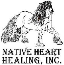 Native Heart Healing, Inc Benefit Horse Show Open Classes New Beginner- Ages 10 and under, or any age rider with disabilities, all seats.