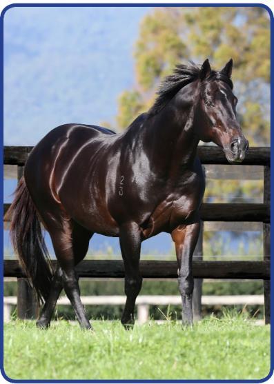 The Last Tycoon stallion easily claimed the other two titles at the expense of High Chaparral, finishing $3 million in front to secure his third Dewar Award after 2007-08 and last