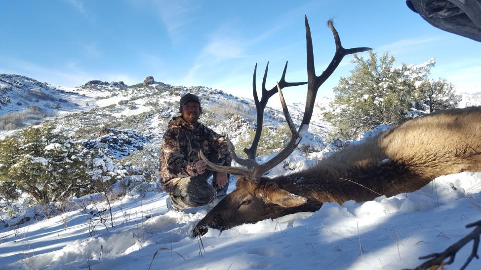 WHERE TO APPLY FOR ELK? Top Units for Trophy Elk: Unit Group Avg. Main 6 Pt.