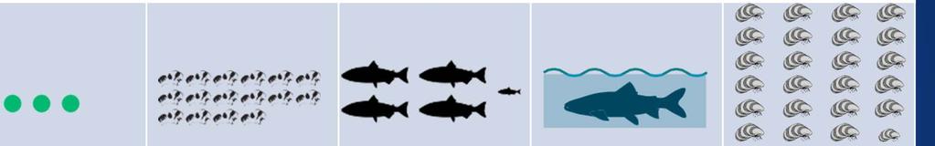 Lake Comparisons 2005-2010 April Total Phosphorus (ppb) Zooplankton (lbs/acre) Gamefish (lbs/acre)